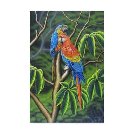 Luis Aguirre 'Rainbow Macaw' Canvas Art,22x32